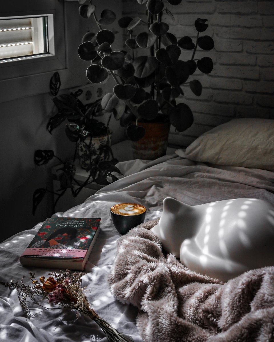 Resting Cat - Imagen 6