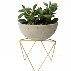 Portamaceta Diseño Triangular Chato